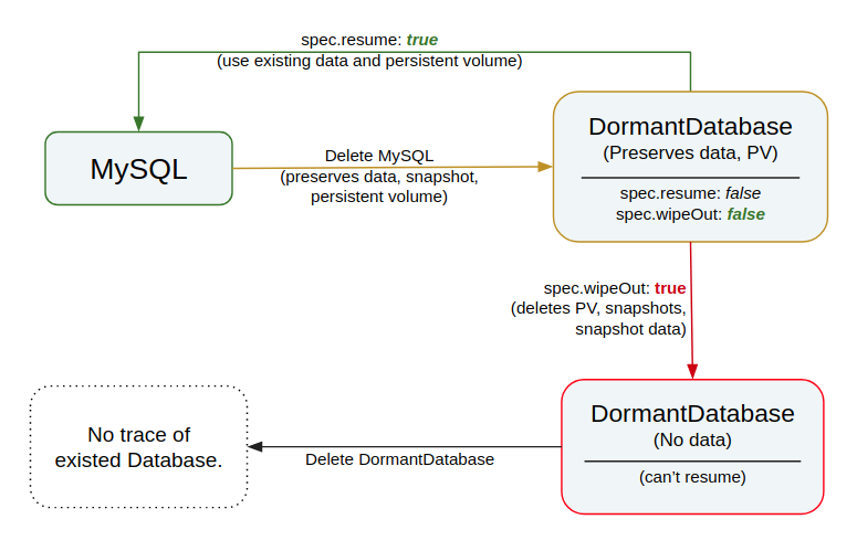 lifecycle